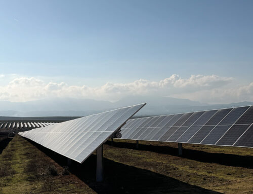 Vegetable cover in photovoltaic parks: efficiency and sustainability from the ground up