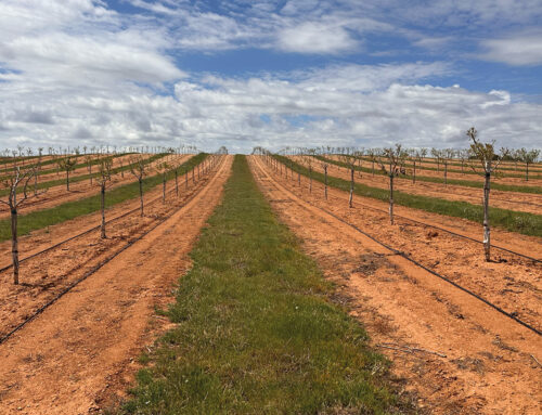 Green Series and the new CAP: Getting ahead from the ground up