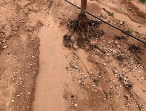 Torrential rain and erosion: why protecting your soil is no longer optional
