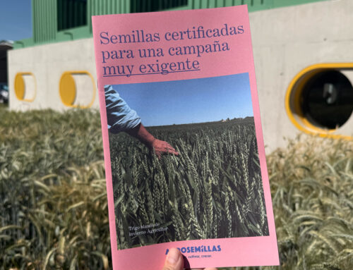 Certified Seeds for a Demanding Season | New Agrosemillas 2026/27 Catalogue
