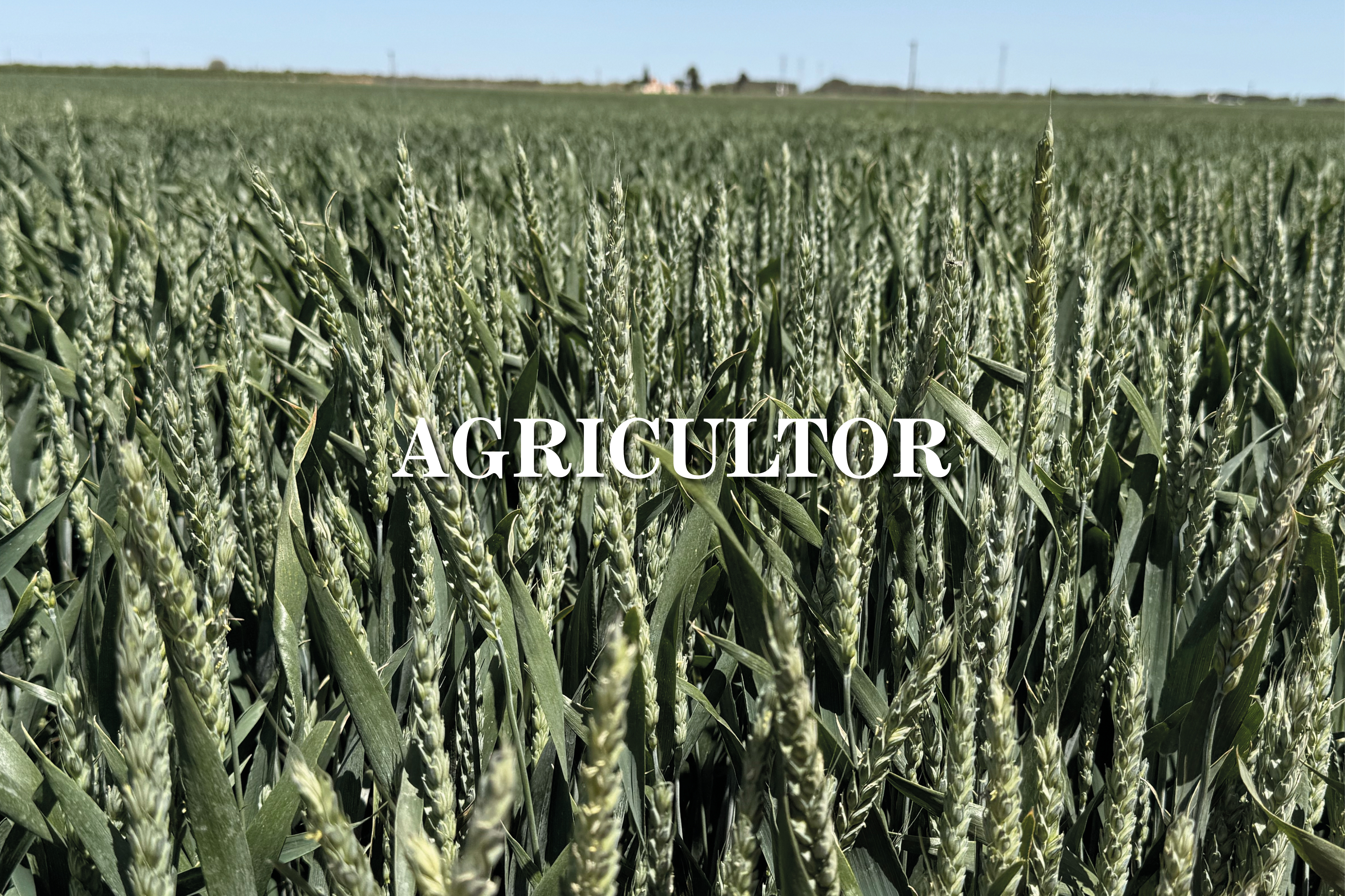 Farmer with Agrosemillas catalogue