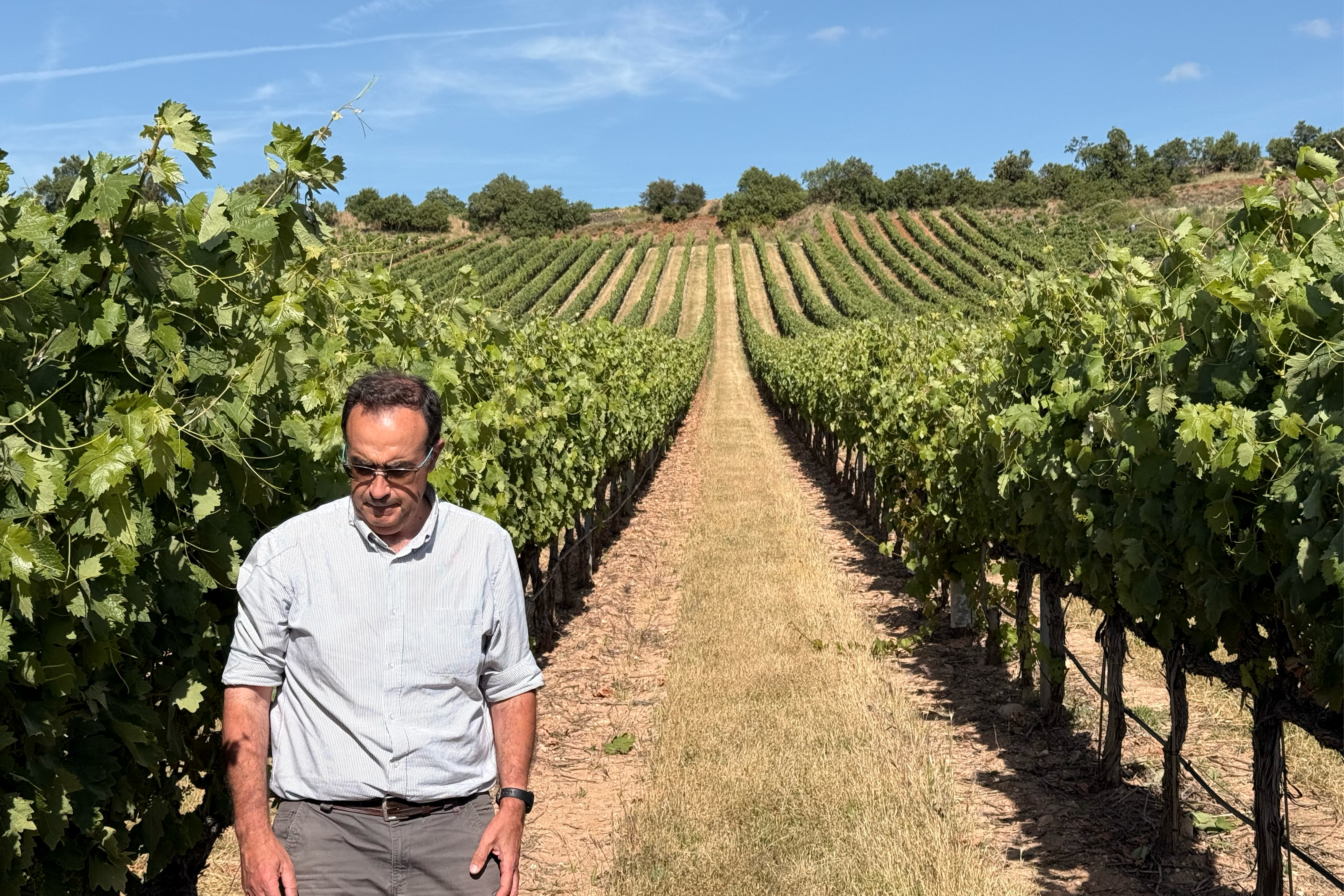 blog Rioja1